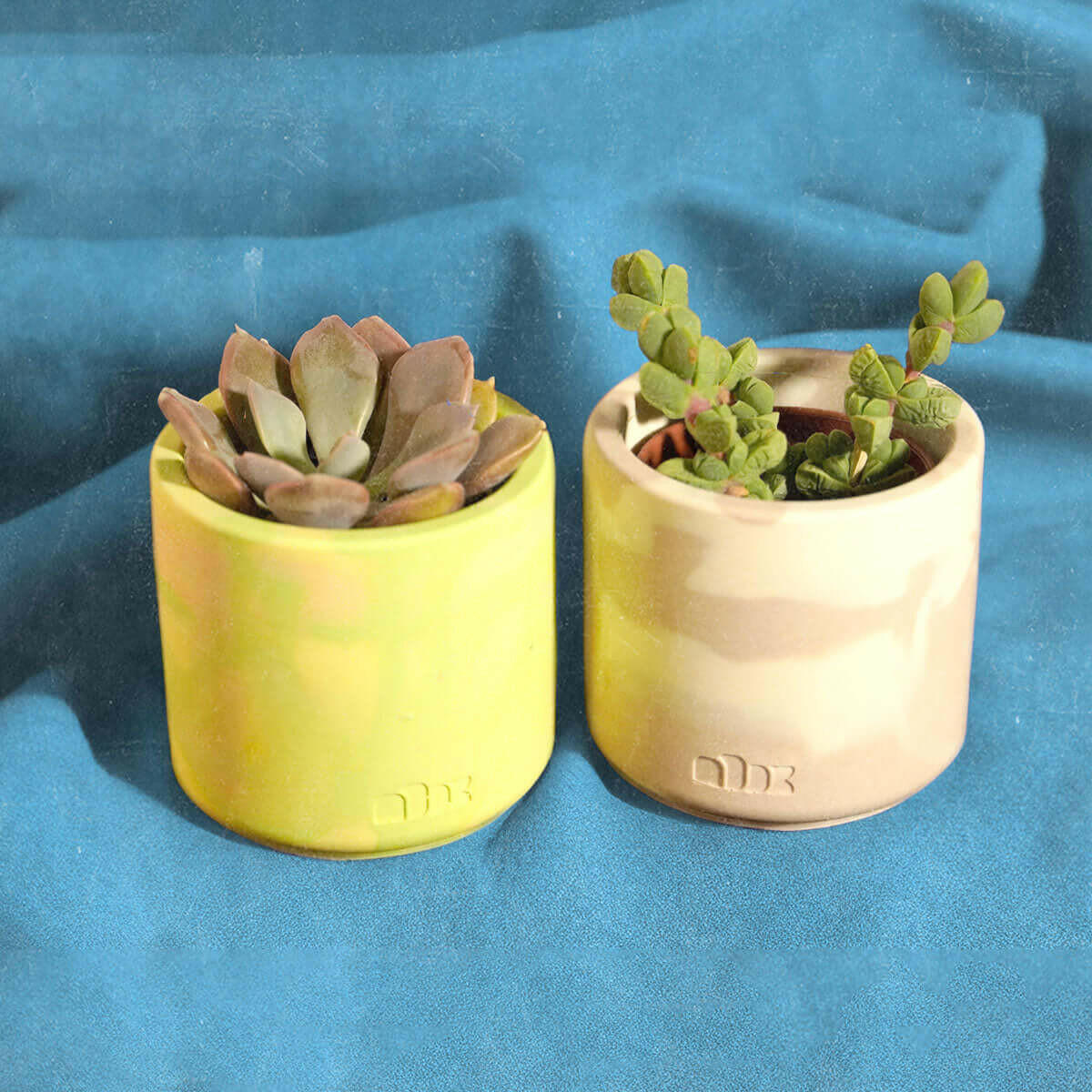Lil Plant Pot Workshop - Jesmonite Planter